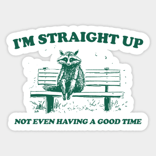 I'm Straight Up Not Even Having a Good Time, Raccoon Drawing T Shirt, Raccoon Meme T Shirt, Sarcastic T Shirt, Unisex Sticker